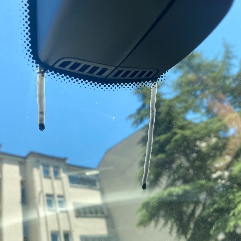 BMW 320i Ed Orta Dikiz Aynasından Akan Siyah Yapıştırıcı Problemi