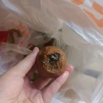 Migros Sanal Market Çürük Ürün Gönderimi Ve Sonuca Varmayan İade