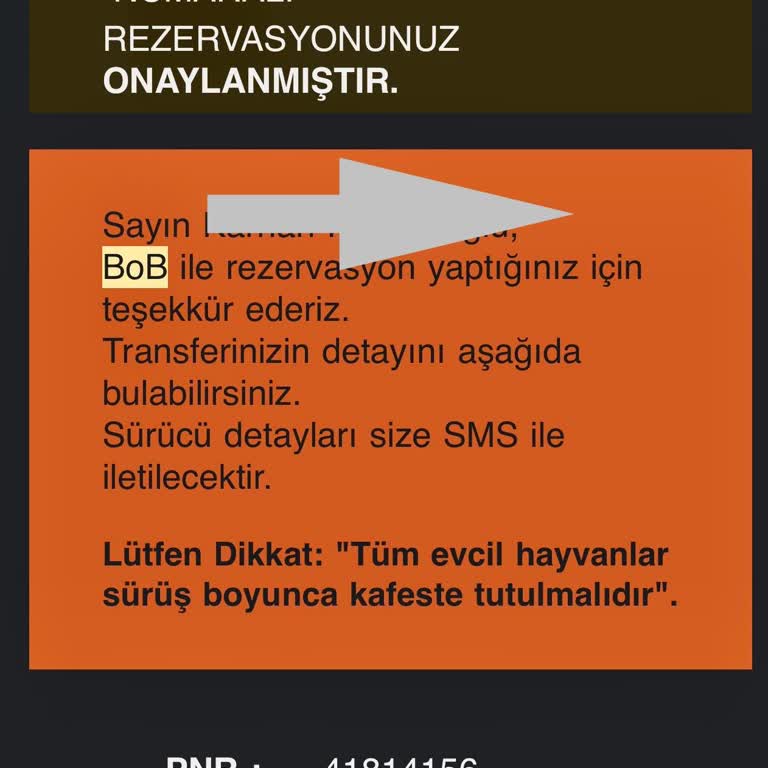 Bob Transferi Mutlaka Deneyin