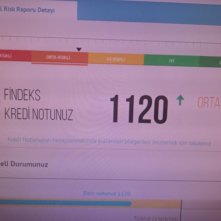 Findeks Kredi Notu Hatası: Orta Riskli Grupta Yanlış Değerlendirme