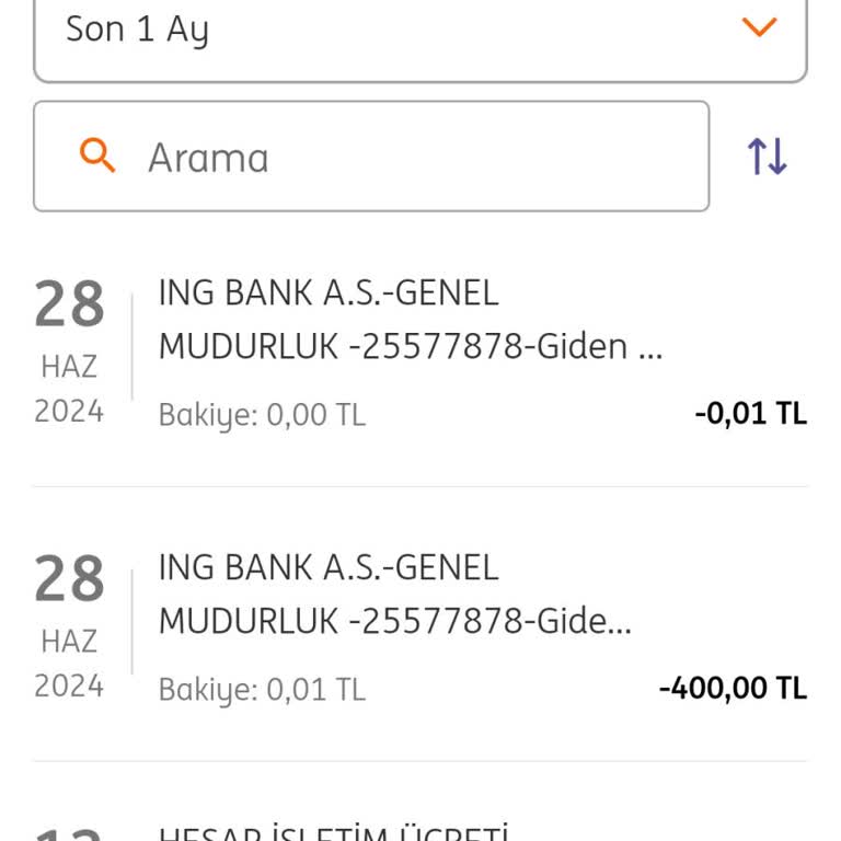 ING Bankası Yatirim Hesabından Para Çekilmesi