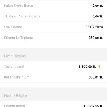 VakıfBank Sürekli Çoğalan Ekstre Ödemeleri...