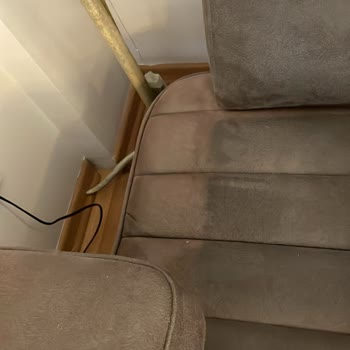 Alfemo- Müşteri Şikayeti