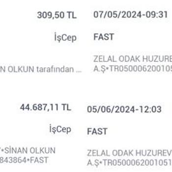 Zelal Odak Huzurevi ve Yaşlı Bakım Evi Yaşlı Bakımevinde Yaşanan Sorunlar