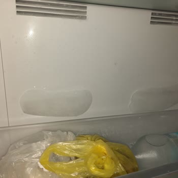 Vestel Marka Buzdolabı Buzlanma