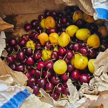 Yurtiçi Kargo Yurt İçi Kargonun Kargo Taşıyamaması