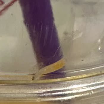 Kahve Dünyasında Kurtlu Portakal Suyu