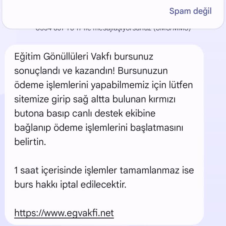 Eğitim Gönüllüleri Vakfı (Burs Başvuru) Tegv İsim Benzerliği İle Burs Başvurusu Sorunu