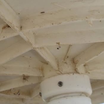 Beyşehir Karaburun Plajı&nbsp; Ve Sahilinin Bakımsızlığı