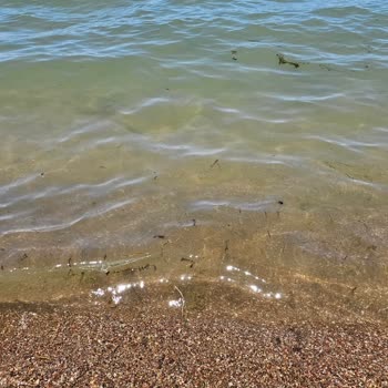 Beyşehir Karaburun Plajı&nbsp; Ve Sahilinin Bakımsızlığı