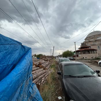OEDAŞ Yüksek Gerilim Hattının Altında Ki Tomrukların Kaldırılması