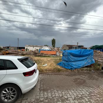OEDAŞ Yüksek Gerilim Hattının Altında Ki Tomrukların Kaldırılması