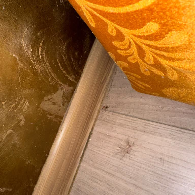 Tatil Sepeti 14.06.2024 22.06.2024 Orta Avrupa Turu Tam Bir Fiyasko