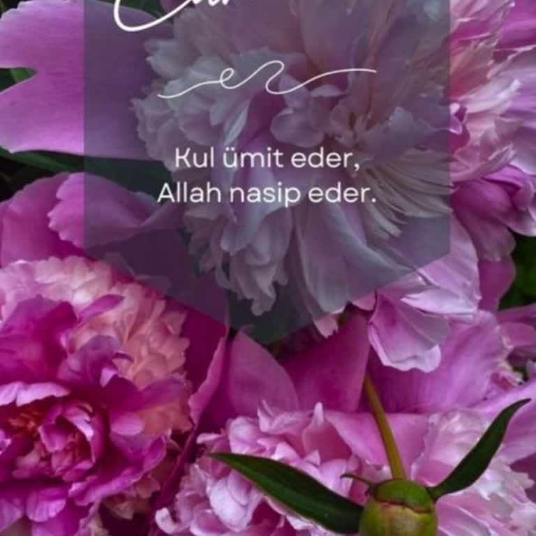 Kartaltepe Aquapark Maalesef Kötü Damsız Çok