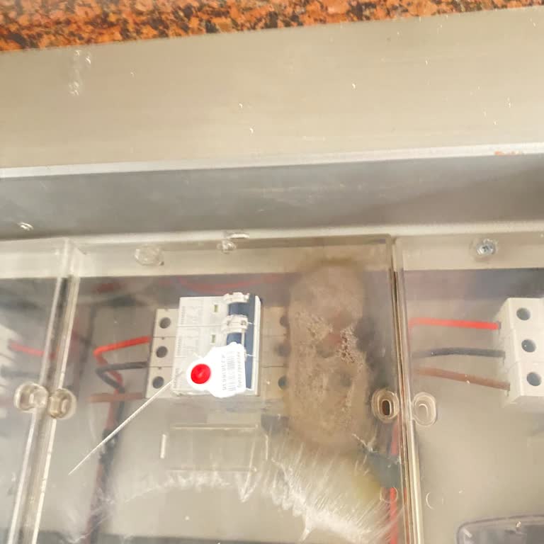 CK Enerji Akdeniz Elektrik Akdeniz Elektrik Kesintisi