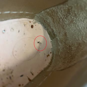 Divarese Ayakkabı Tabanındaki Görünmeyen Çiviler Sonucu Oluşan Sağlık Sorunu