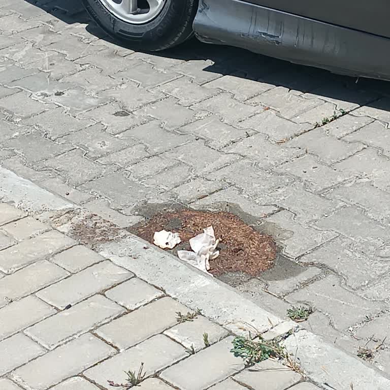 TOKİ Kayalar Site Yönetim