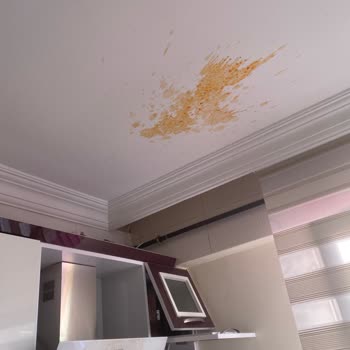 İnter Çelik Düdüklü Patlayıp Evimi Mahvetti