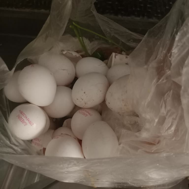 A101 Bozuk Yumurta Satıyor