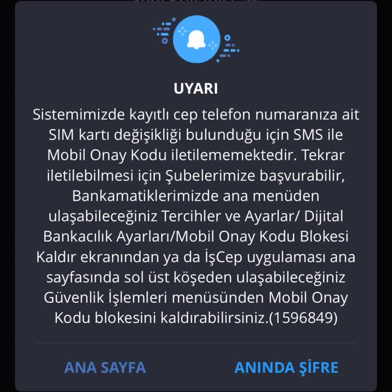İş Bankası Mobil Onay Kodu Blokesi Komedisi