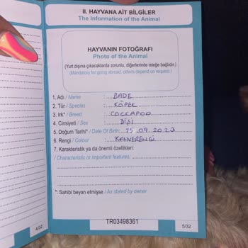 Isparta Petrol Turizm Evcil Hayvanımı Almadı