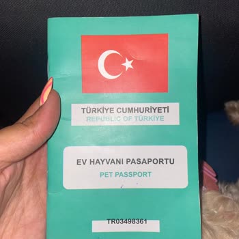 Isparta Petrol Turizm Evcil Hayvanımı Almadı