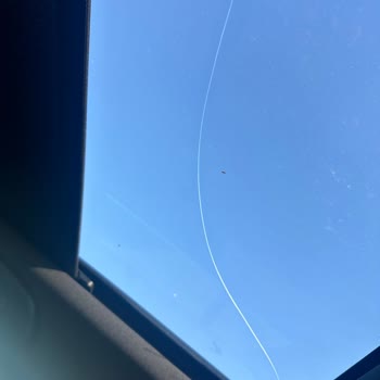 Skoda Kamiq Çatlak Cam Tavan