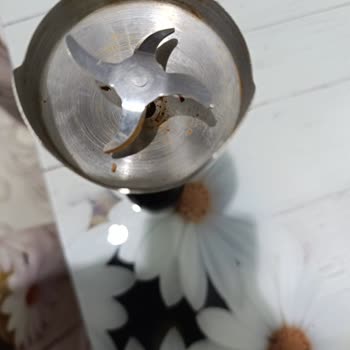 Arzum Blender'da Küflenme Sorunu Ve Trendyol'un Yetersiz Servis Desteği