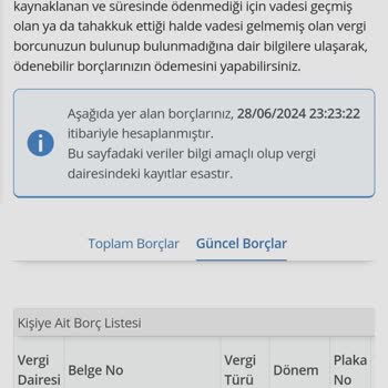 Gelir İdaresi Başkanlığı Vergi Dairesi Başkanlığı Nakil Trafik Cezası Yazmış Benim Aracım Yok