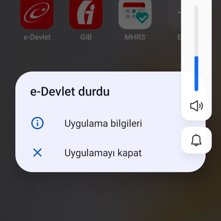 Tecno Camon 20 Pro Uygulama Ve Oyunların Kendiliğinden Kapatması