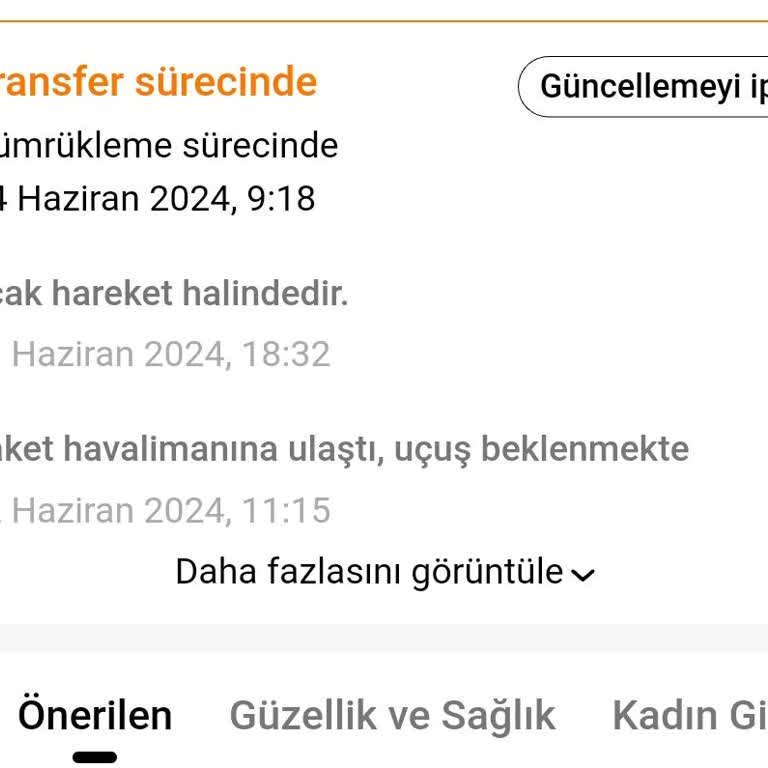 Temu Gümrükte Bekleme