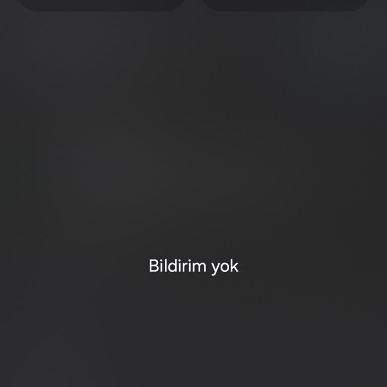 Samsung Galaxy S24 Ultra 2 Numaralı Sim Karta İzin Verilmiyor. Sorunu