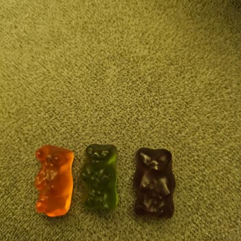 Haribo Birbirine Yapışmış Ayıcıklar