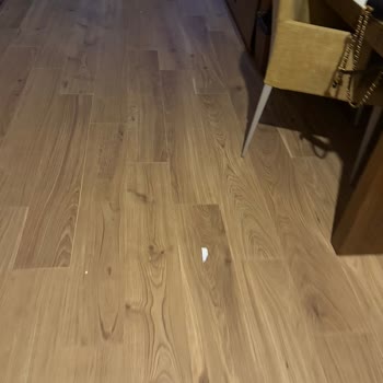 Nuh'un Gemisi Deluxe Hotel & SPA Tatilimiz Mahvoldu