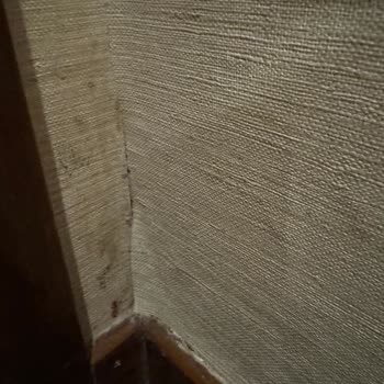 Nuh'un Gemisi Deluxe Hotel & SPA Tatilimiz Mahvoldu