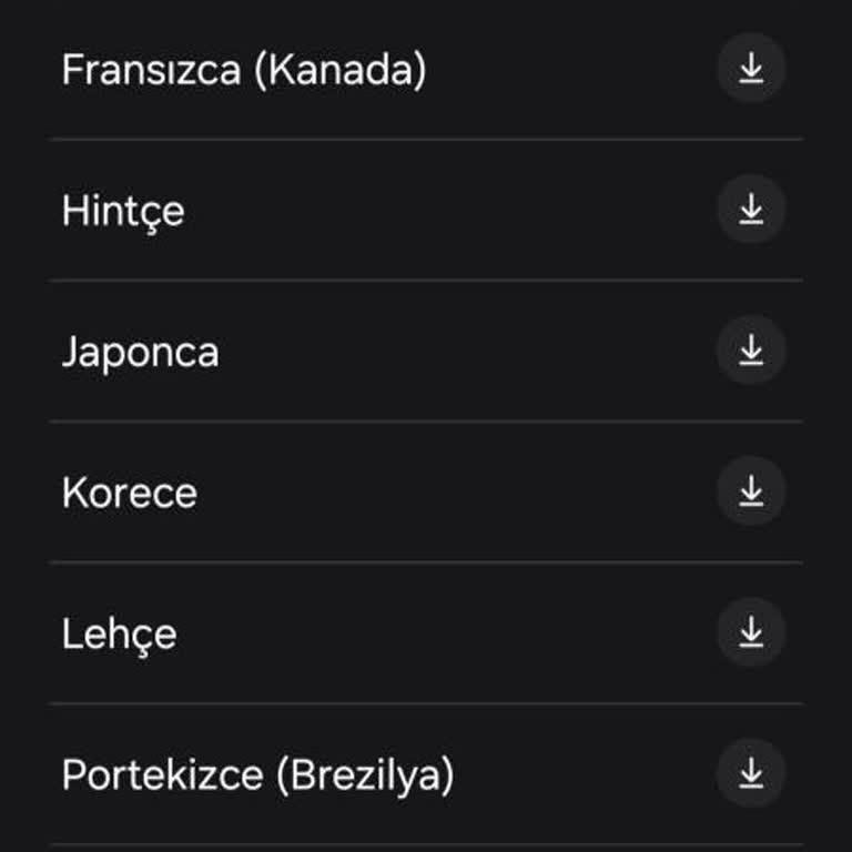 Samsung Telefon Hâlâ Türkçe'yi Destekle"ye"miyor
