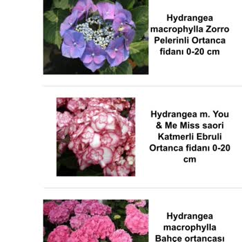 1001 Fidan (1001fidan.com) 1001 Fidan İlk Ve Son Kez Olacak Sipariş