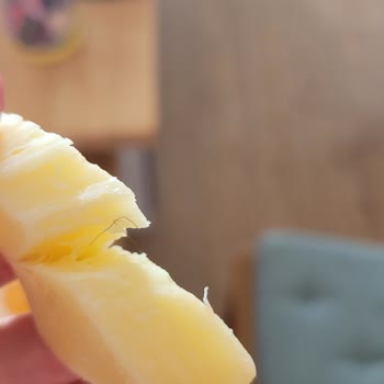 Yörükoğlu Marka Kaşar Peynirinden Kıl Çıktı