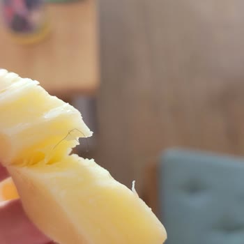 Yörükoğlu Marka Kaşar Peynirinden Kıl Çıktı