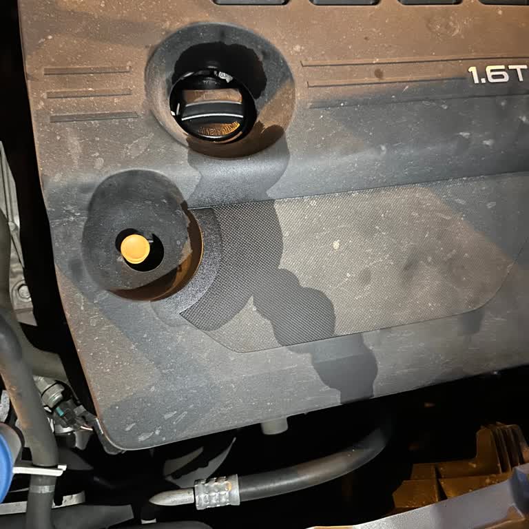 Tanoto Chery Omoda 5 Motor Bakımında Yaşanan Sorunlar