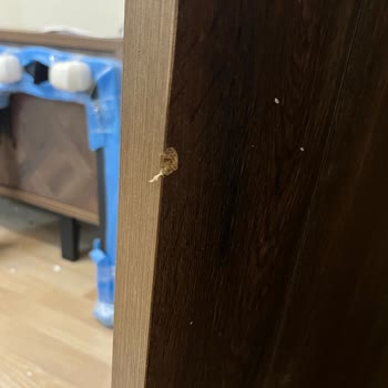 Kelebek Mobilya Sürekli Hasarlı Ürün Getiriyor