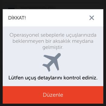 THY Atina Biletim Bilgim Dışında Değiştirildi.