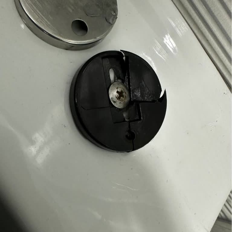 Creavit Klozet Menteşesi Sorunu