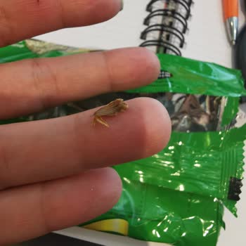 Eti Gıda Eti Formdan Çöp Atık Çıktı