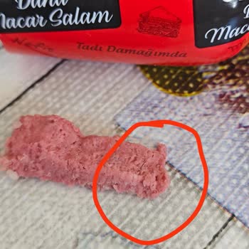 Maret Salam İçerisinden Kıl Çıktı