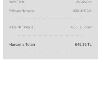 Mavi Ödeme Kontrol Ediliyor. Parayı Çekip Ürünü Göndermediler