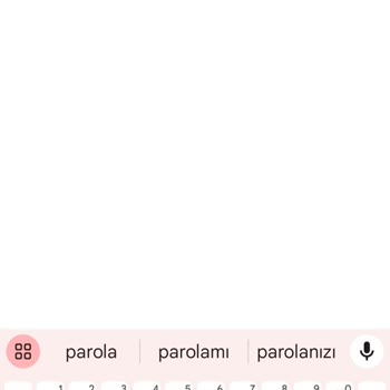 BİP'te Diyanet Parola Yenileme Çıkmıyor