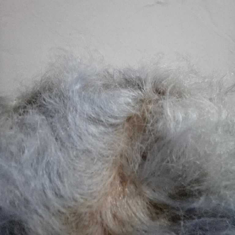 Garnier Ekstra Açık Küllü Sarı Saçımı Mavi Yaptı