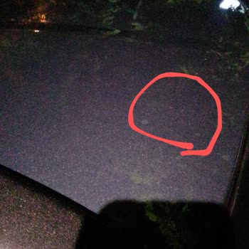 Fiat 2022 Garantisi Devam Eden Fiat Egea Cross Vernik Atığı