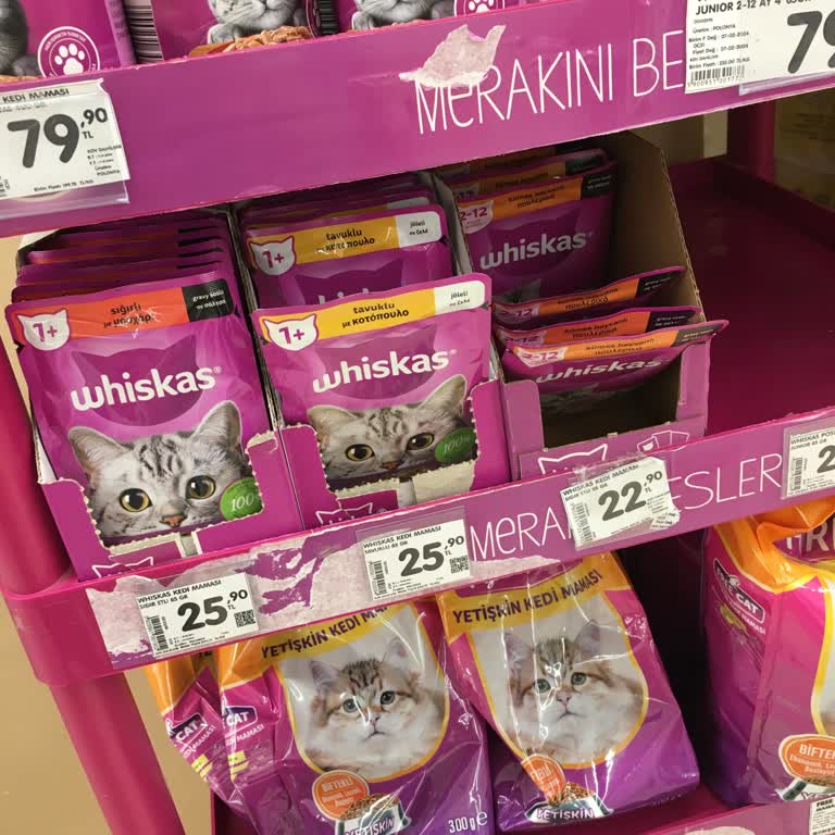 Whiskas A Yazıklar Olsun